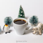 Espresso for the First Winter Guests