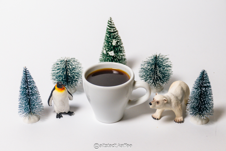 Espresso for the First Winter Guests