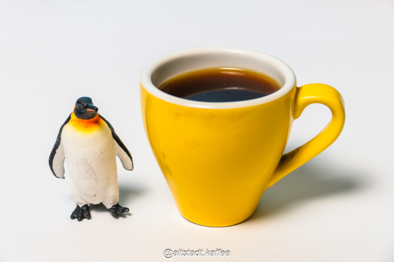 Powerfull Winterespresso with Pinguin